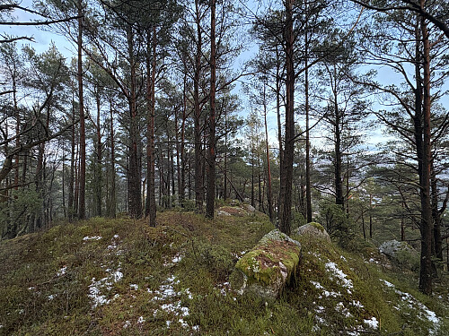 Aust for Ramnafjellet 209 moh