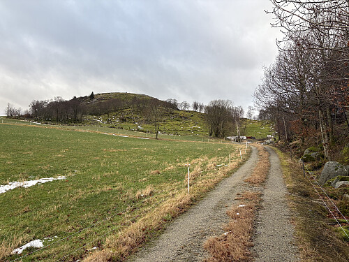 Traktorvei langs åkerkanten med toppen i bakgrunnen