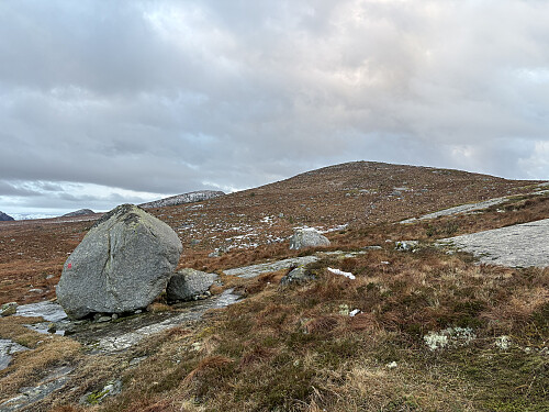 På vei opp mot Voren
