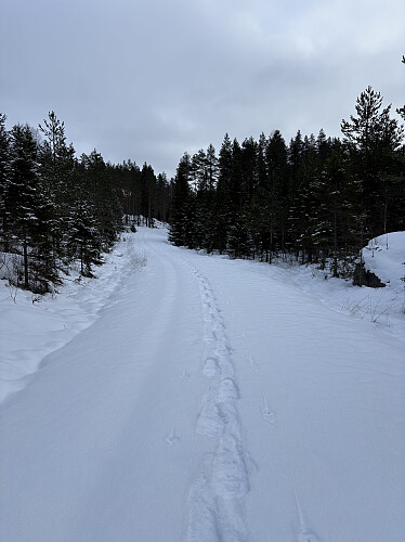 Fint trugeføre innover mot Kukollen