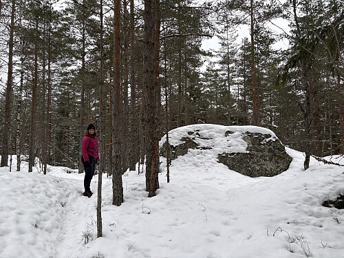 Toppunktet på Vanakleiva