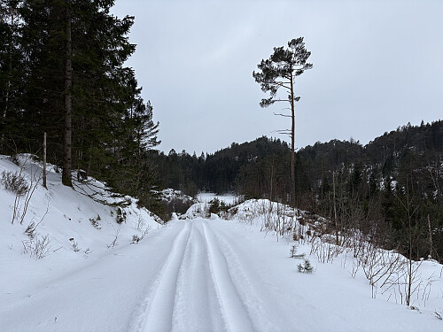 Innover mot snuplassen kunne jeg følge et traktorspor.