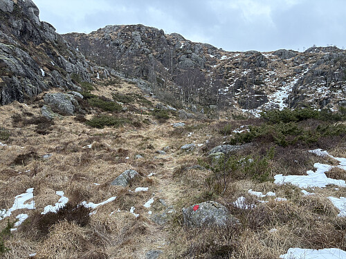 Merket sti på vei opp til Gamstjørna og Snøsvassfjellet