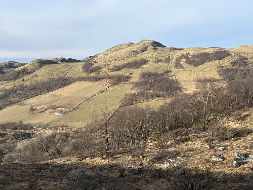 Håfjellet sett fra Høylandsfjell
