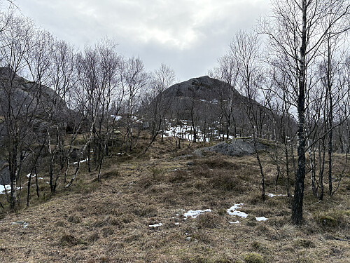 Toppen av Rusta dukker opp