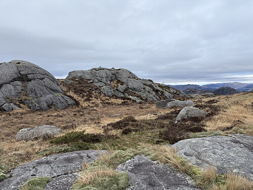 Toppkollen på Lundafjellet