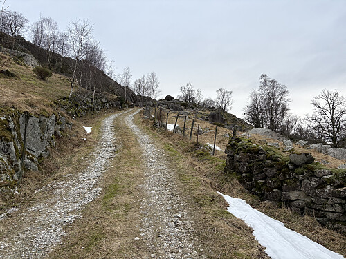 På setervei opp mot Tofjellet