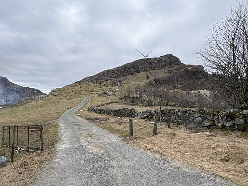 Fra p-lomma mot Skurvenuten