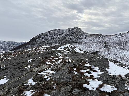 Vest for Tjoatjørna 367 moh. Håfjellet i bakgrunnen
