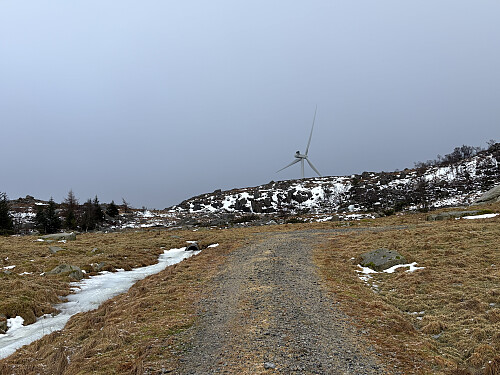 Snuplassen nord for toppen