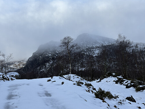 Tilbake mot Grytefjellet