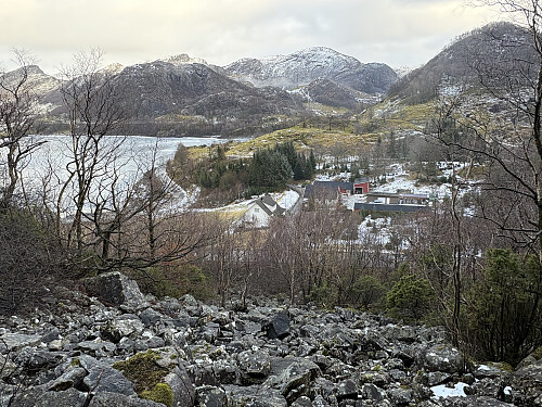 Bratt steinur, men greit å gå hvis man finner en rute rundt krattet
