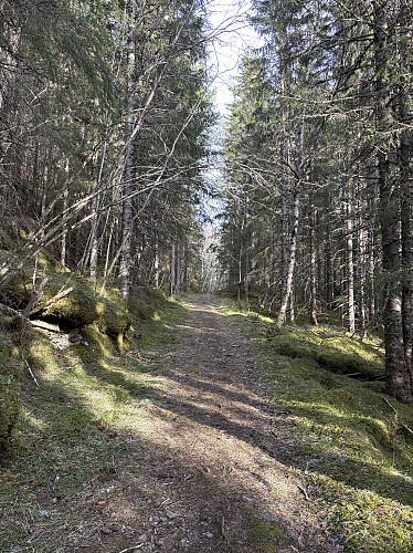 God sti opp mot Hellåsen