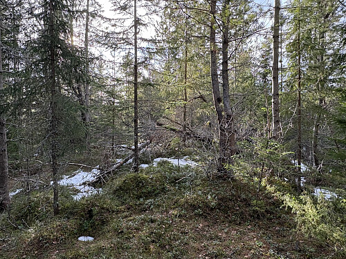 Toppunktet på Hellåsen blir nok ikke så ofte besøkt!