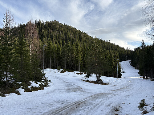 Toppen sett fra skiløypa. Stien jeg gikk opp starter opp fra høyre kant i bildet omtrent der hvor skiløypa ikke synes lenger.