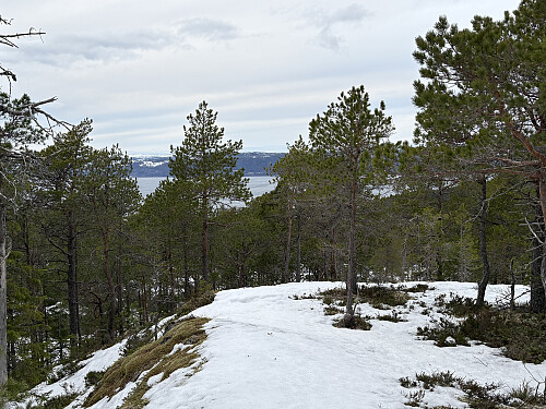 Noe utsikt nordover fra Brattåsen