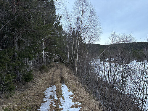 Lite snø i starten, men på denne turen kunne jeg fint brukt ski!