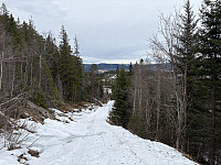 ØyvindBergkvam_20260521_6a0ed5ce9651c.jpeg