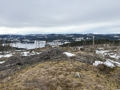 Bjørsetknippen i Melhus, utsikt nordover