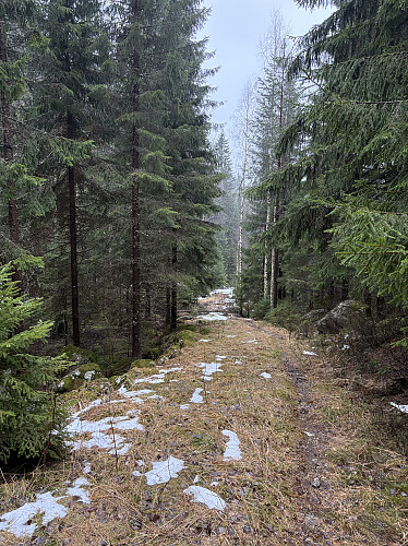 Bratt opp i skaret mellom nordre og søre Ringkollen