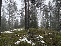 ØyvindBergkvam_20260521_6a0effe289527.jpeg