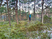Denne tua er toppen av Tysingåsen.