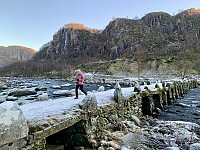 Terland klopp med Kjelleheia bak.