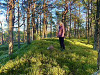 Toppen markert med et par steiner.