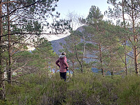 Topp-punktet, med litt utsikt til Gunlanuten, var her i lyngen.