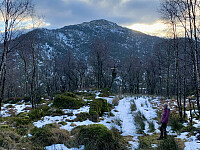 Vardåsen sett fra stien opp til Kulefjell.