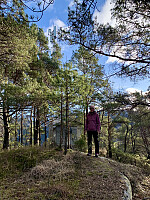 Lite utsikt fra topp-punktet. 
