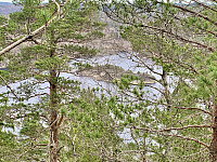 Utsikt til Stamsøya.