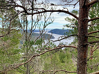 Utsikt utover Nordfjorden.