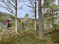 Oppå her er toppen.