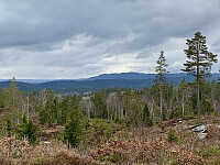 Utsikt mot Hovdefjell.