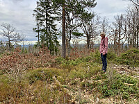 En liten stein som markerer toppen?