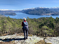 Utsikt mot Hylsfjorden. Til venstre ser vi Tangen og sørenden av Saudafjorde, Til høyre Sandsfjorden og Sand.
