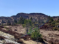 Eivindåsen sett fra Oppheim.