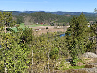 Utsikt mot Reiersøl og Nidelva.