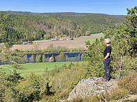 Utsikt mot Reiersøl og Nidelva.