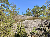 Toppområdet.