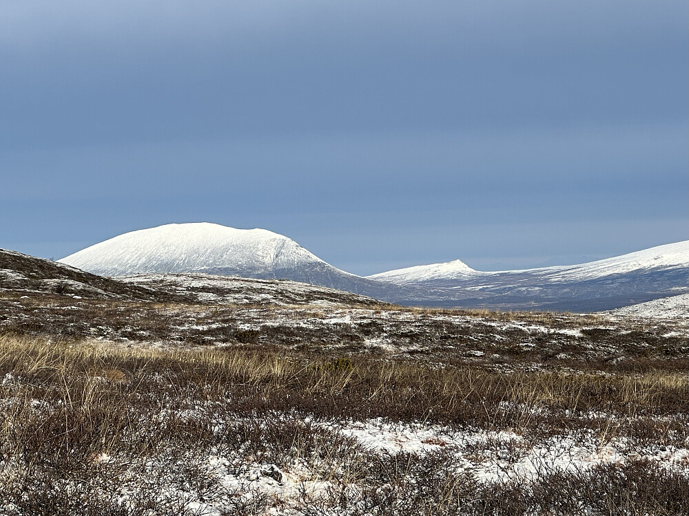 Flott skue fra stien oppover. Heidalsmuen i vinterdrakt. 
