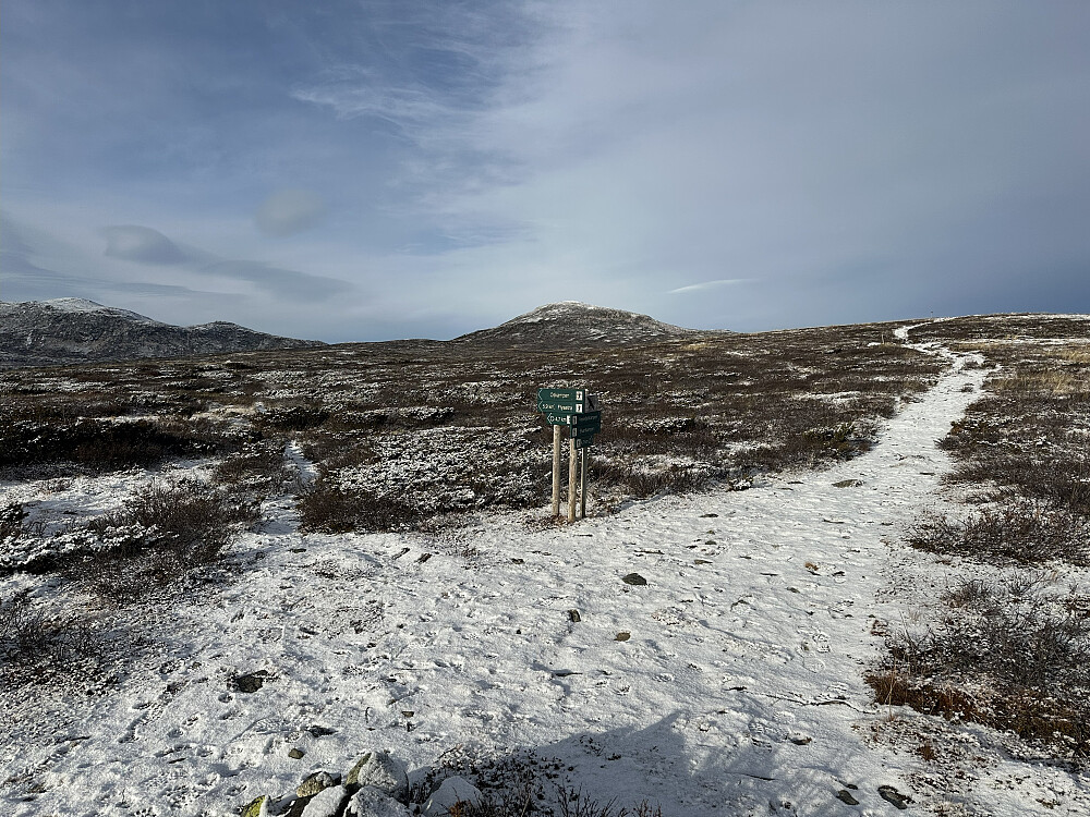 Stidele og dagens mål i horisonten