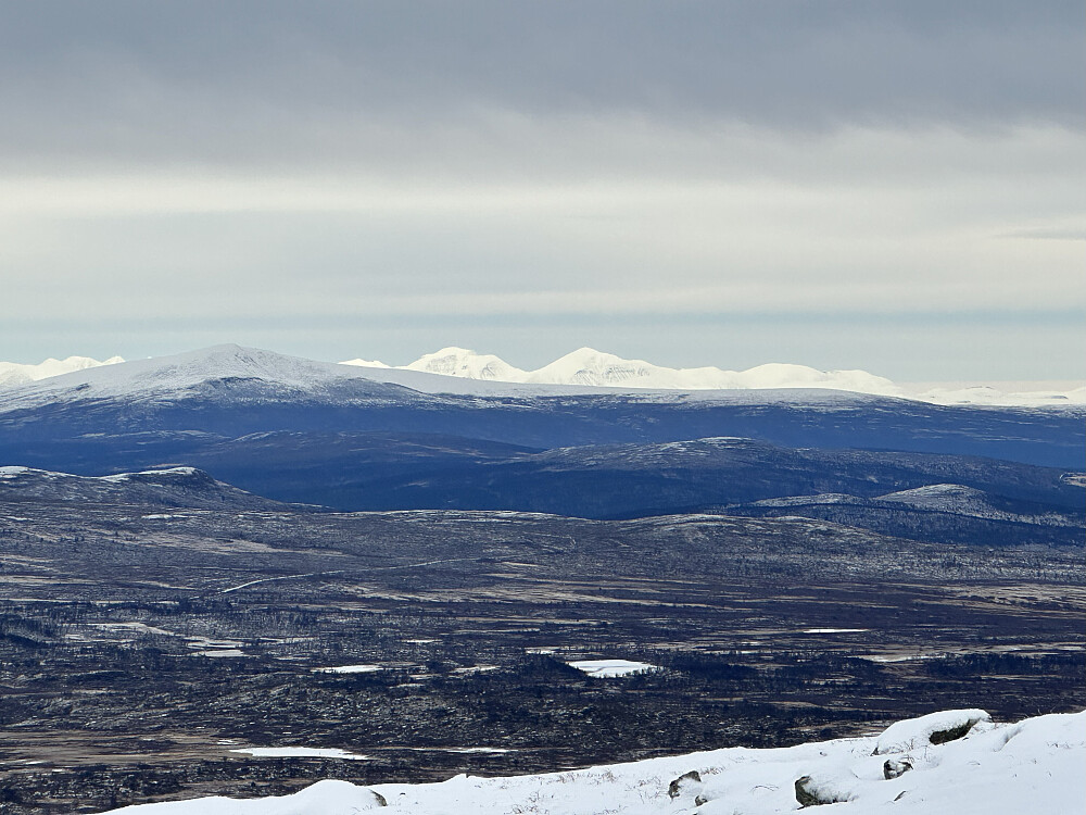Rondane