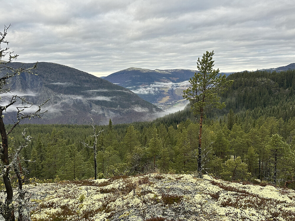 Den fineste utsikten på turen fant jeg på en liten knaus på 750 moh. 