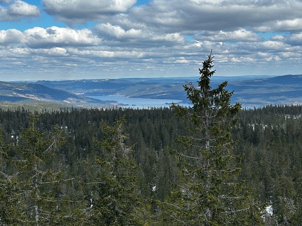 Utsikt fra tårnet over Hurdalsjøen. Vi ser helt til Trysilfjellet oppe til venstre