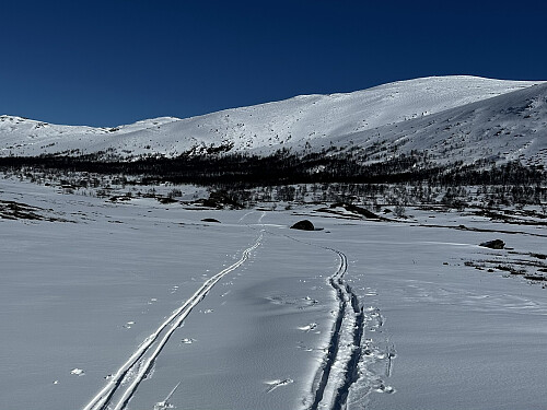Frem og tilbake er ikke alltid eksakt like langt:-)