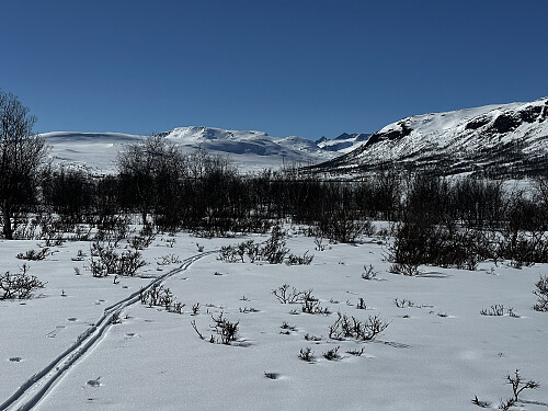 En tur som setter spor..