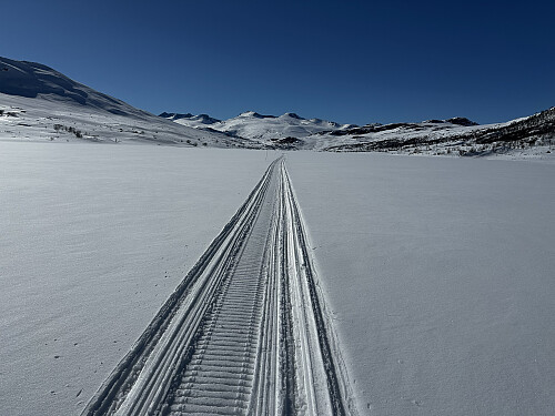 ..og langt tilbake til flya