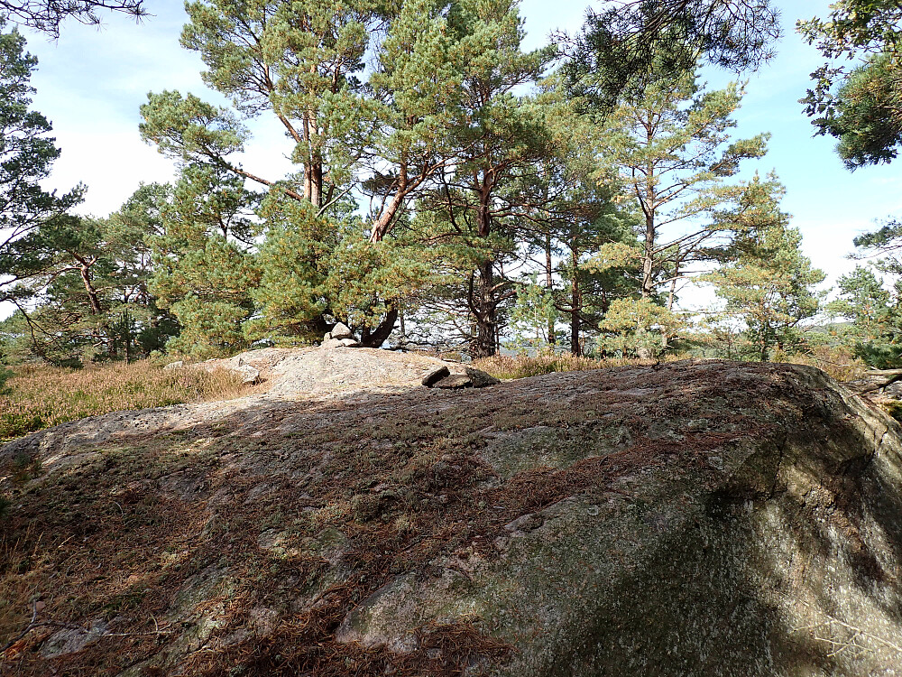 Varden på toppen